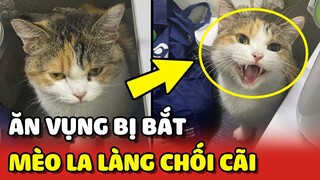 Hoàng Thượng ĂN VỤNG bị BẮT QUẢ TANG còn la làng CHỐI CÃI rất quyết liệt 😂 | Yêu Lu