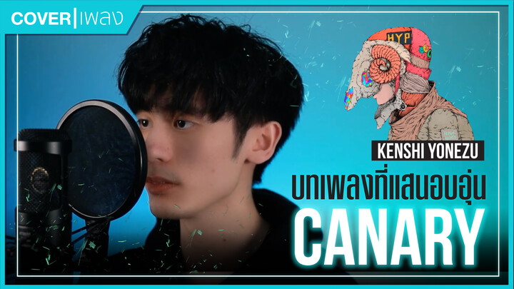 [It's Wei] Cover เพลง Canary - Kenshi Yonezu เพลงที่อบอุ่นที่สุดเพลงหนึ่ง