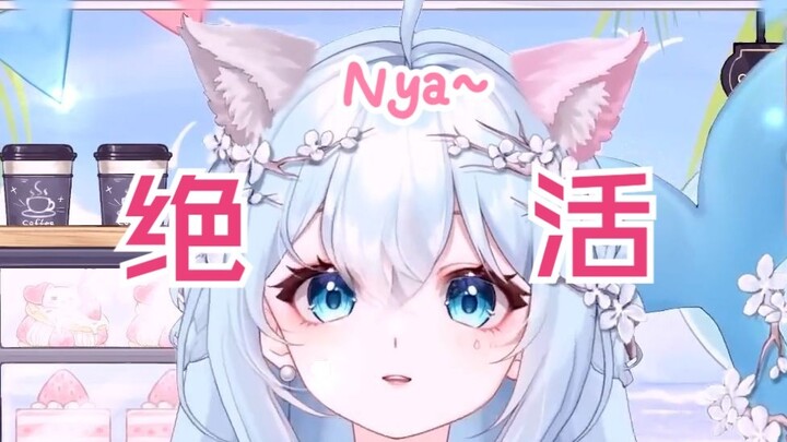 你好，请听一下猫猫nya