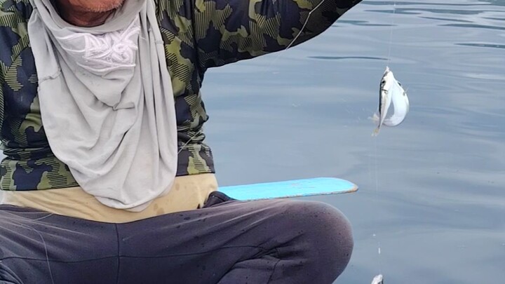 One in a million catch!