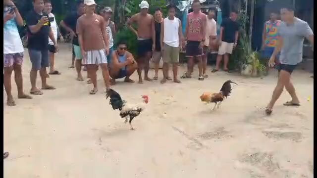 may dayo... 2nd fyt win di naka sugat kalaban