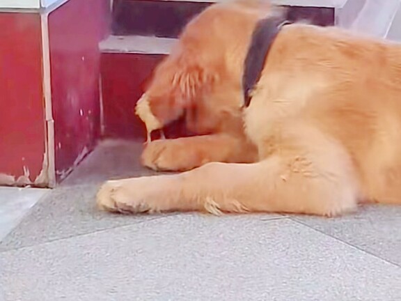 นี่! มันเข้ามาเองนะ!