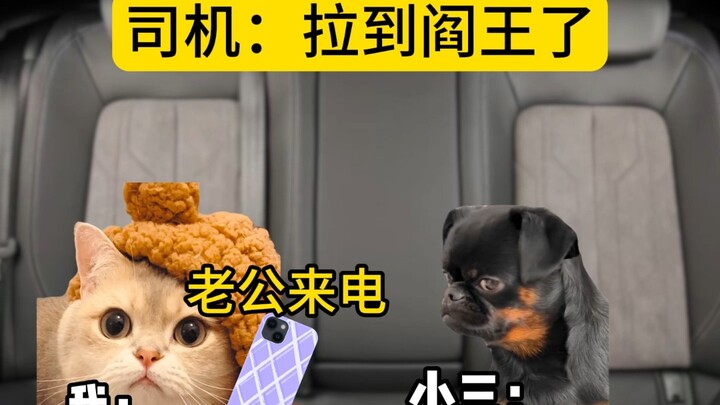 Driver: I’ve taken you all the way to King Yama!