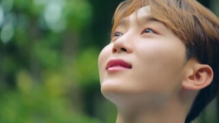 230608 SEVENTEEN 夫胜宽 Bravo甜筒冰淇淋 广告歌 零站