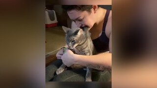 động_vật_cute cườikhôngnhặtđượcmồm NaoCungTapNgay