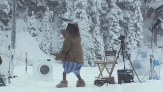 إذن هكذا جاء دببة القطب الشمالي ههههههه