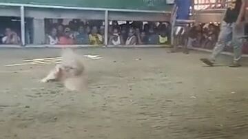 satisfied buyer .w/chuco win#BITOYline