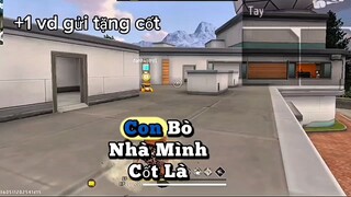 p1 | tặng 6
