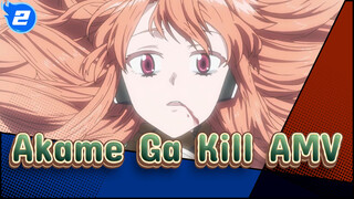 Akame Ga Kill AMV_2