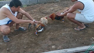 Sparring