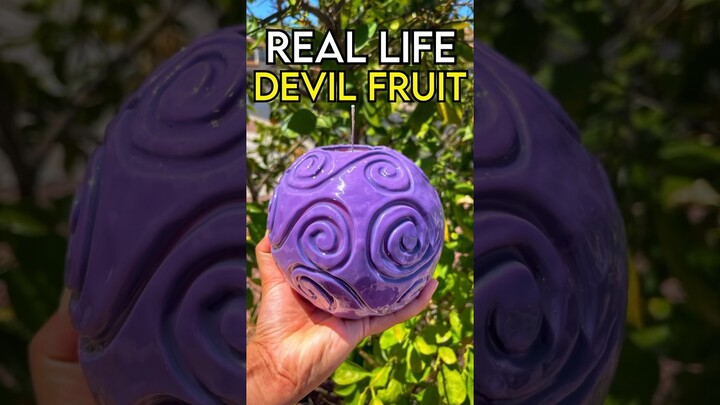Best Devil Fruit in REAL LIFE!