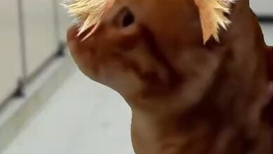 My life full of twists and turns