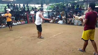 SAYANG PALO(L)