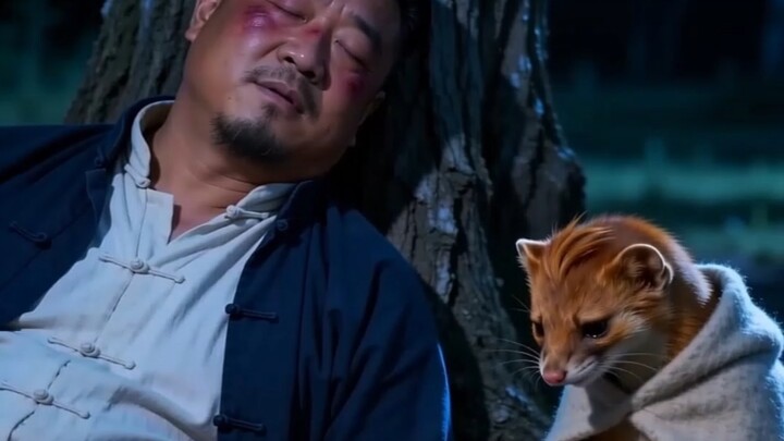This yellow fox is a bit stuttering.