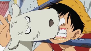 Khi Luffy chọc chó.