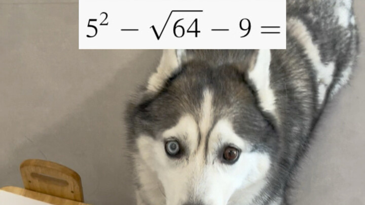 Wishing everyone, like Mishu, can ace the exam by luck even if they’re just guessing!