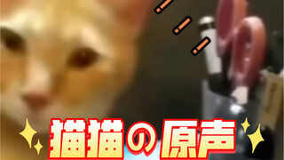 【 猫猫的原声 】是日语  哆啦a罐版