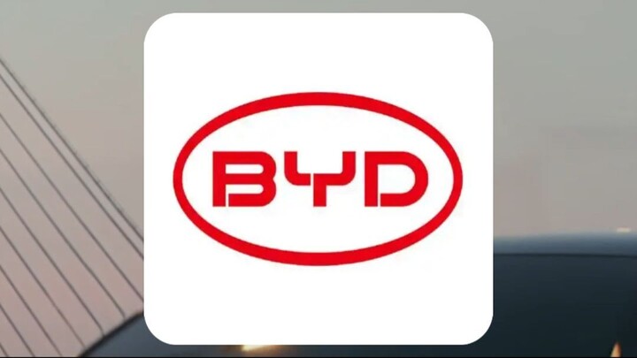 Chinese biggest EV brand started as a "joke"...