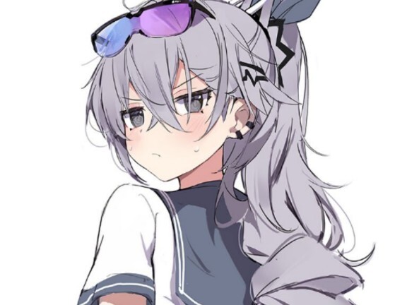 Silver Wolf ˃̶͈ ꇴ ˂̶͈
