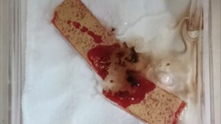 Giấy thử pH: Tôi đưa cho bạn để đo axit sulfuric đậm đặc à?