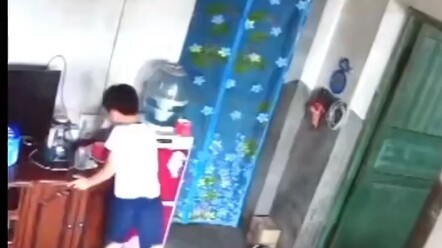#Dịch cúm gia cầm#