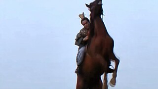 Textbook-level horse riding scenes from CCTV-3
