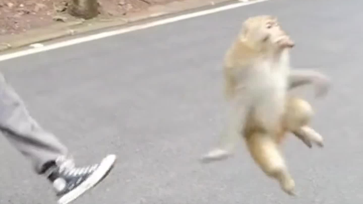 My butt hurts a little bit.
