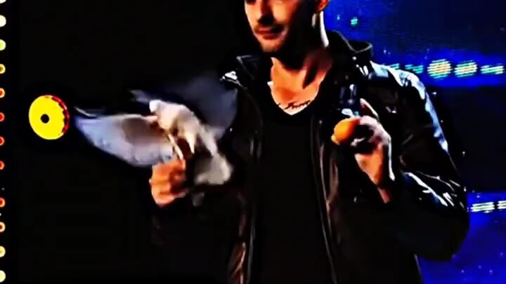 Magician? No, a wizard!