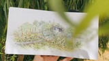 [Lukisan tangan] Saya menggambar kebun sayur kecil ketika saya keluar dari "Mengumpulkan Setiap Hari
