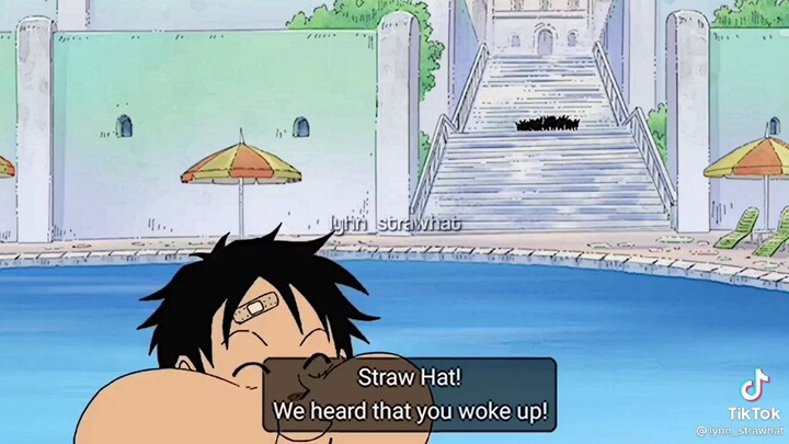 straw hats pool party in water 7