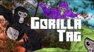 Gorilla tag live 🔴