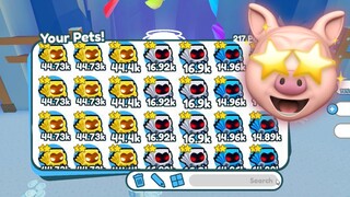 ROBLOX PET SIMULATOR X..