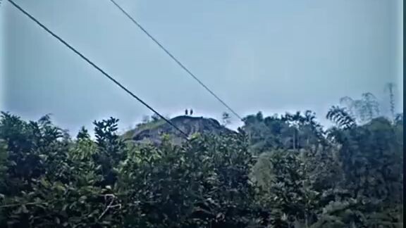 madar uchiwa obito uciwa malulbulul