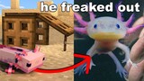 I Trapped My Brothers Axolotl, Then Got Him One In Real Life