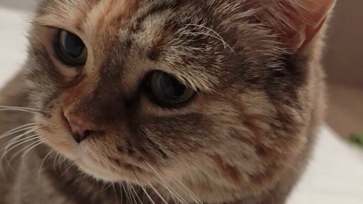 How can you go to bed without grooming yourself?