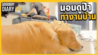นอนรอป๊า กวาดบ้าน - บอย ไดอารี่ #1