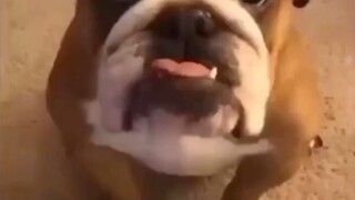 居然愉快的达成了协议