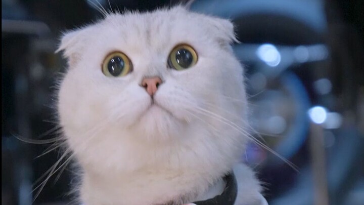 Di mana kamu jatuh, di situlah kamu lari