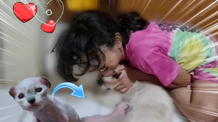 Hanum Saking Gemesnya ❤️ Jagain Bayi Kucing Bulunya Makin Gundul 😭 Miss Cemplon
