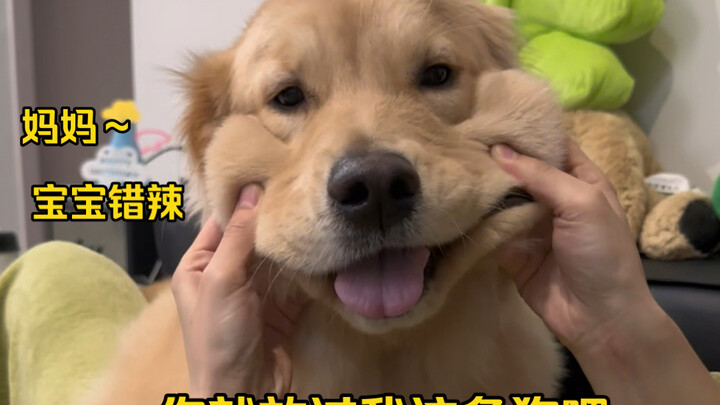 Please spare this poor dog! So wrong, so wrong!