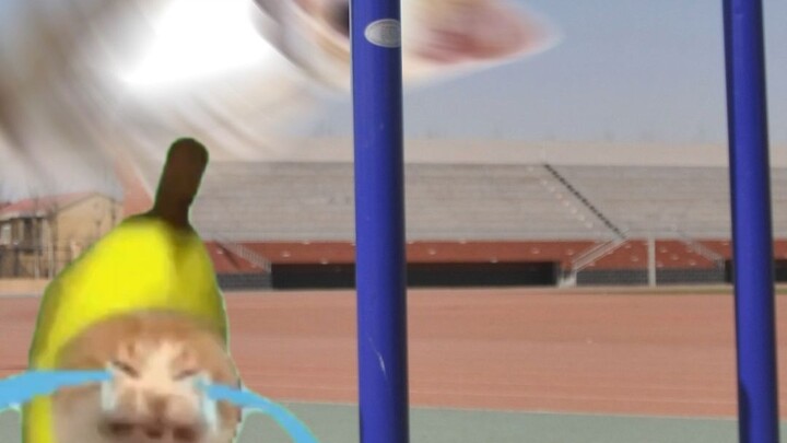 Banana Cat Gives Up Her Seat on the Bus—and Ends Up Crying Again