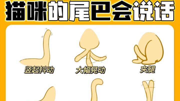 Understand Cat Tail Language in 1 Second | Cats’ Tails Can Talk!