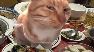 【Cat meme】When you go home for Chinese New Year and find out your mother has cancer