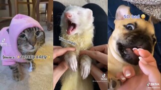 You're a Stinky Baby - TikTok Compilation