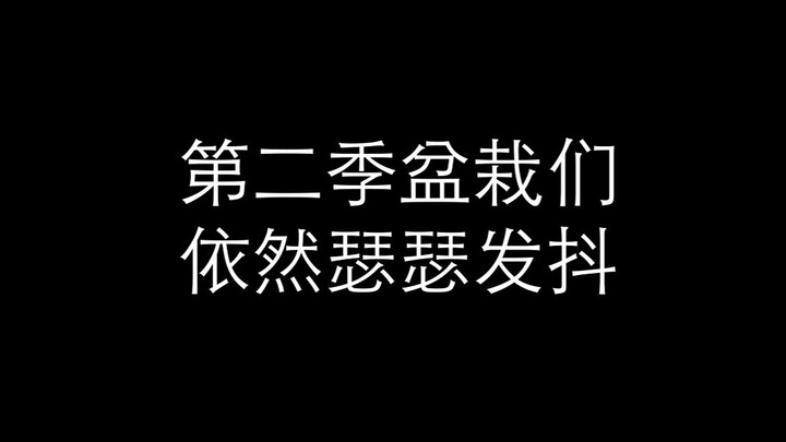 【好兆头2】不愧是恶魔的“宠物们”，被吓到总是会瑟瑟发抖呢