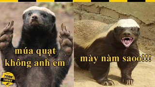 🔴 Khá Lửng Và Những Trận Chiến Đi Vào Lòng Người,Trận Chiến Thứ 2 Sẽ Làm Bạn Phải Cảm Động Đấy