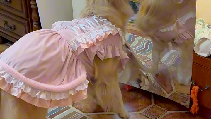 Ketika aku membelikan Sakura-chan yang suka berpenampilan cantik cermin melengkung