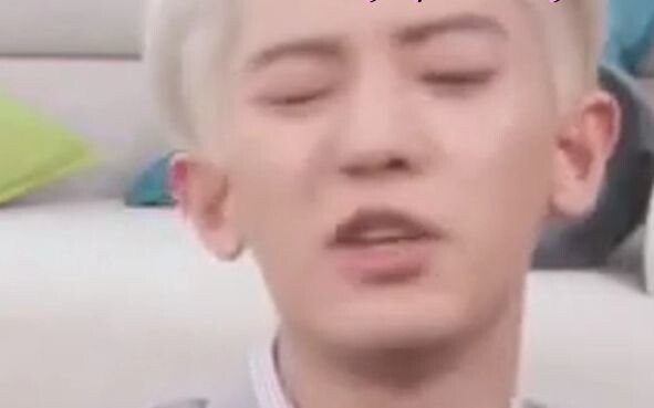 ดูคุณพ่อสุนัข [พัคชานยอล] [โอเซฮุน] พยายามฝึกฝนโดฟินและบีบี จิตวิญญาณอันเป็นอิสระ～