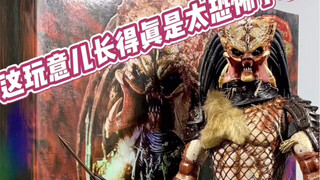 Hottoys异形大战铁血战士