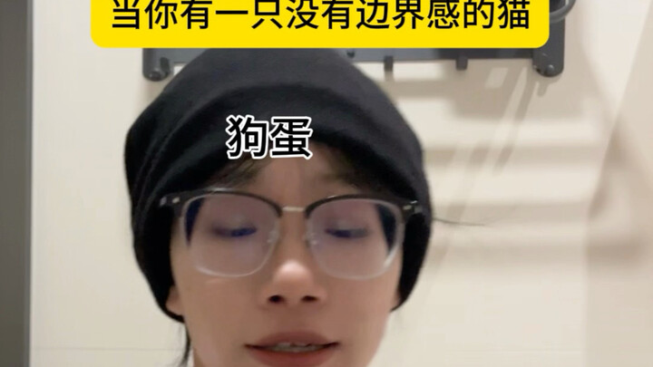เมื่อคุณมีแมวที่ไม่มีขอบเขต